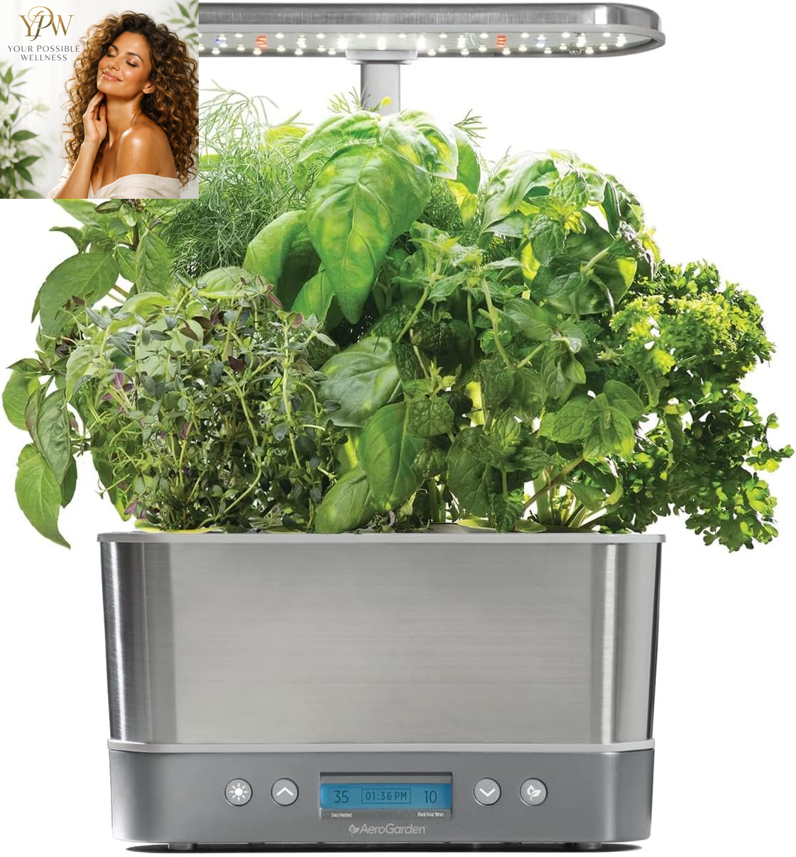 Aerogarden Harvest Elite Indoor Garden Hydroponic System with LED Grow Light and Seed Kit, Holds up to 6 Pods, Stainless Steel