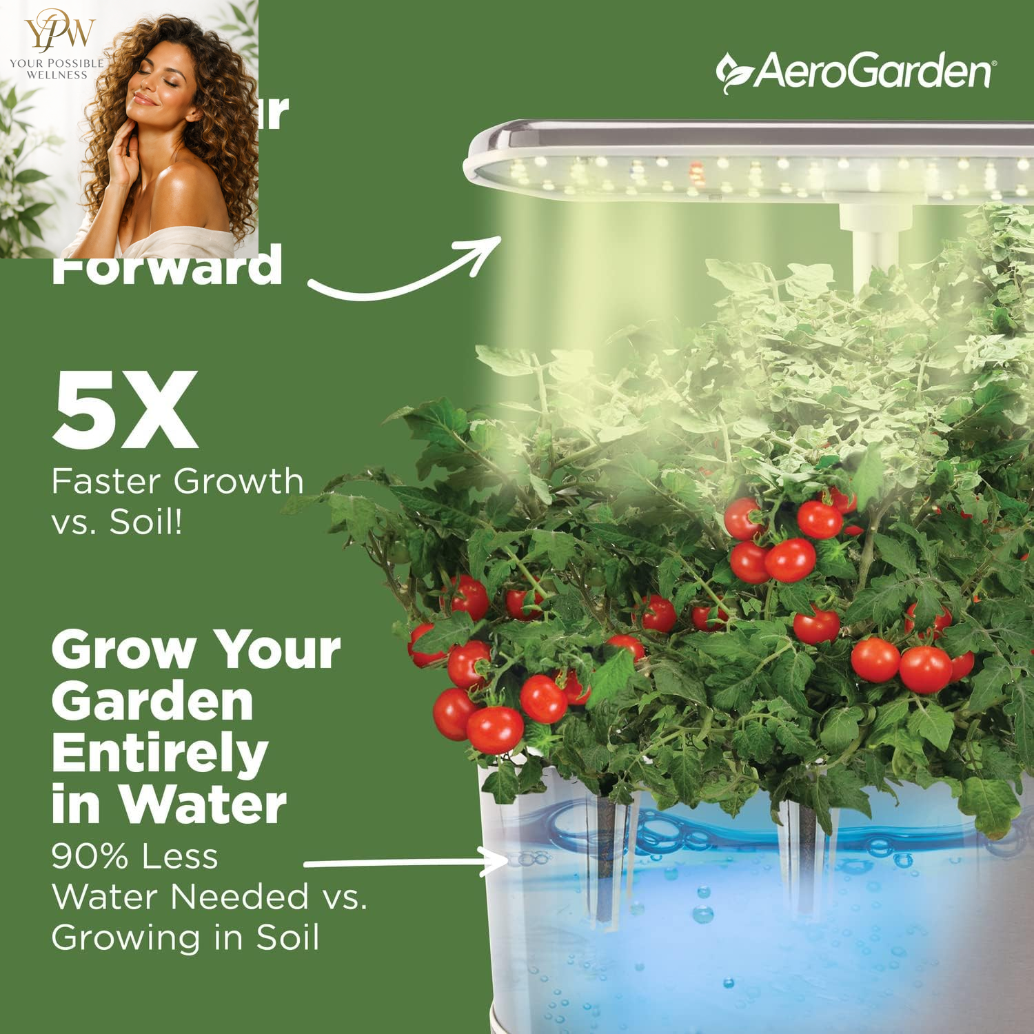 Aerogarden Harvest Elite Indoor Garden Hydroponic System with LED Grow Light and Seed Kit, Holds up to 6 Pods, Stainless Steel - Image 5