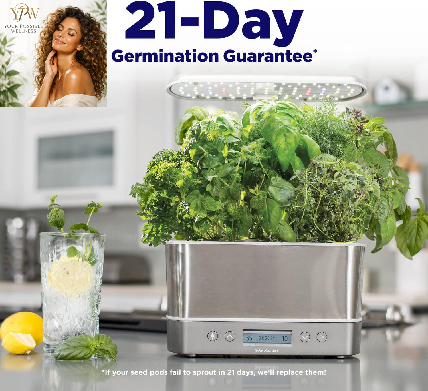 Aerogarden Harvest Elite Indoor Garden Hydroponic System with LED Grow Light and Seed Kit, Holds up to 6 Pods, Stainless Steel - Image 3