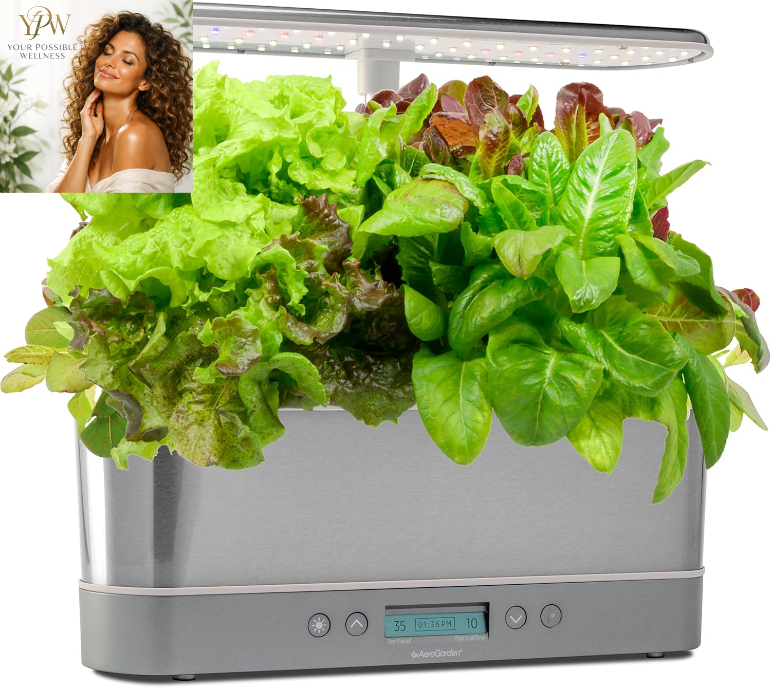 Aerogarden Harvest Elite Indoor Garden Hydroponic System with LED Grow Light and Seed Kit, Holds up to 6 Pods, Stainless Steel - Image 13